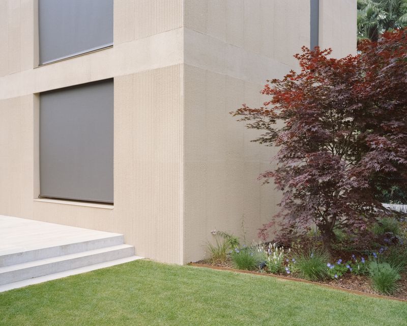 GIG - Rondinella – SIMONE BOSSI ©